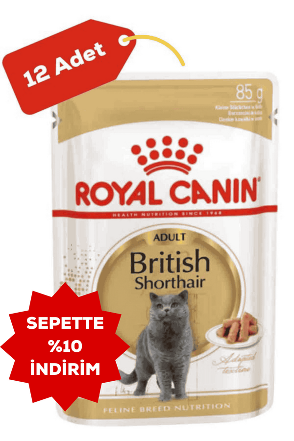 Royal Canin British Shorthair Yetişkin Kedi Konservesi 12x85gr 12li