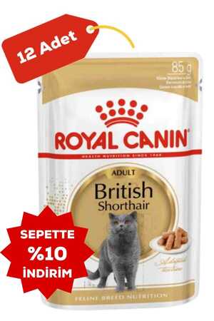Royal Canin British Shorthair Yetişkin Kedi Konservesi 12x85gr 12li - Thumbnail