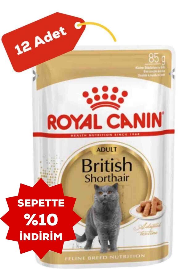 Royal Canin British Shorthair Yetişkin Kedi Konservesi 12x85gr 12li