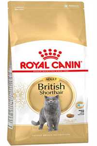 ROYAL CANIN - Royal Canin British Shorthair Yetişkin Kedi Maması 4kg