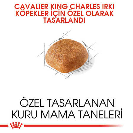 Royal Canin Cavalier King Charles Adult Yetişkin Köpek Maması 1,5kg - Thumbnail