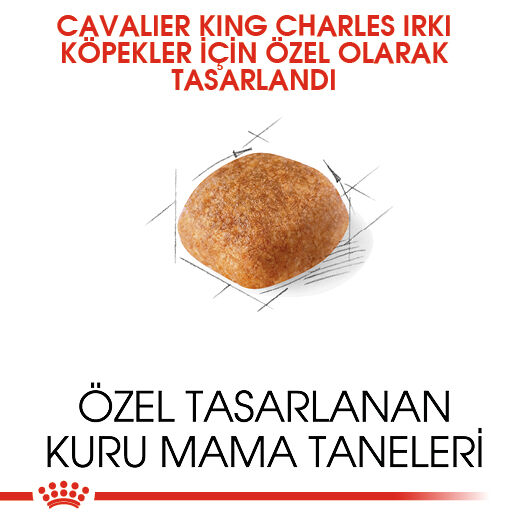 Royal Canin Cavalier King Charles Adult Yetişkin Köpek Maması 1,5kg