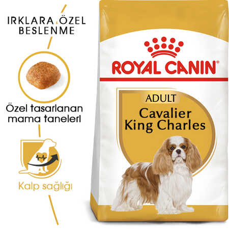 Royal Canin Cavalier King Charles Adult Yetişkin Köpek Maması 1,5kg - Thumbnail