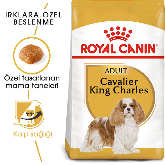 Royal Canin Cavalier King Charles Adult Yetişkin Köpek Maması 1,5kg