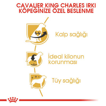 Royal Canin Cavalier King Charles Adult Yetişkin Köpek Maması 1,5kg - Thumbnail