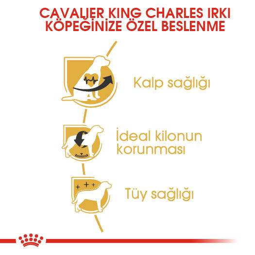 Royal Canin Cavalier King Charles Adult Yetişkin Köpek Maması 1,5kg