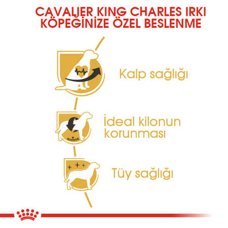 Royal Canin Cavalier King Charles Adult Yetişkin Köpek Maması 3kg - Thumbnail