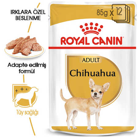 Royal Canin Chihuahua Yetişkin Köpek Konservesi 85gr - Thumbnail