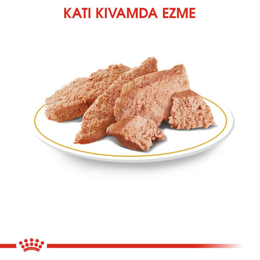 Royal Canin Chihuahua Yetişkin Köpek Konservesi 85gr