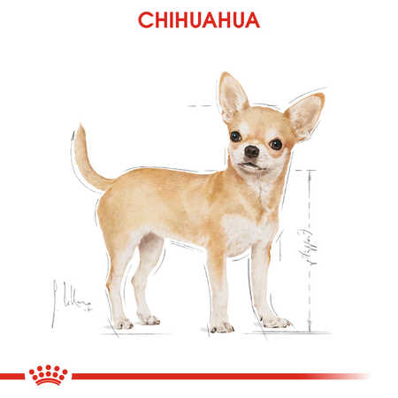 Royal Canin Chihuahua Adult Köpek Konservesi 85gr - Thumbnail