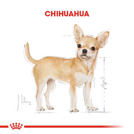 Royal Canin Chihuahua Yetişkin Köpek Maması 1,5kg - Thumbnail
