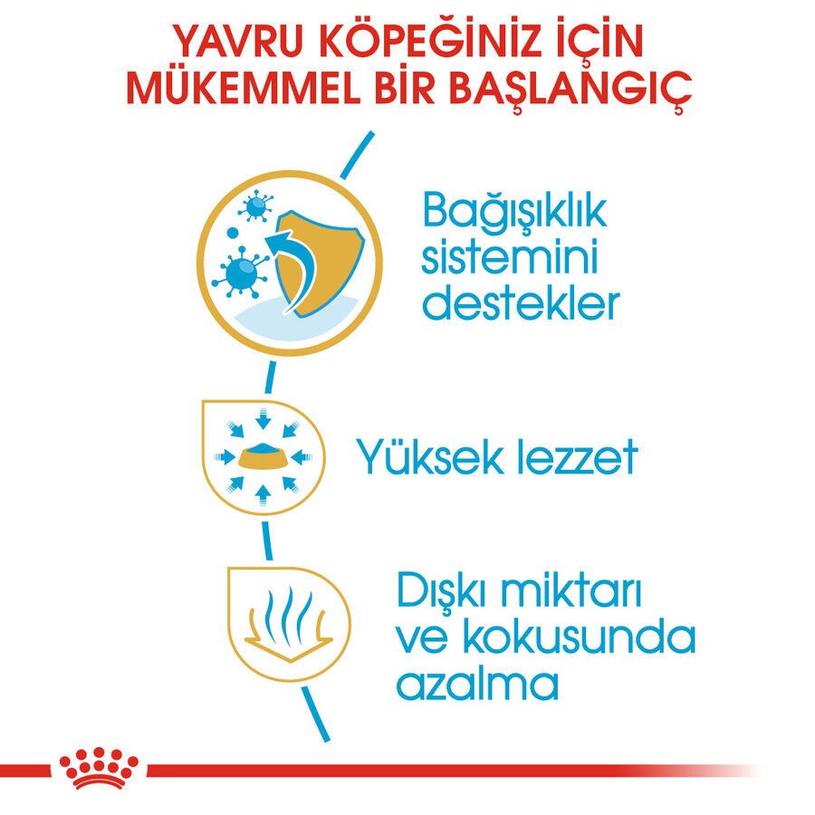 Royal Canin Chihuahua Puppy Yavru Köpek Maması 1,5kg