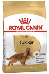 Royal Canin Cocker Yetişkin Köpek Maması 3kg - Thumbnail