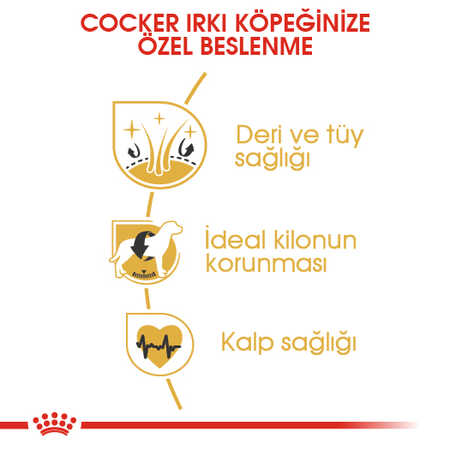 Royal Canin Cocker Yetişkin Köpek Maması 3kg - Thumbnail