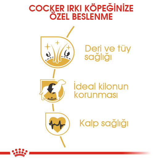 Royal Canin Cocker Yetişkin Köpek Maması 3kg