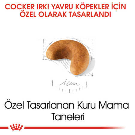 Royal Canin Cocker Puppy Yavru Köpek Maması 3kg - Thumbnail