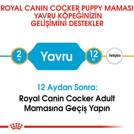 Royal Canin Cocker Puppy Yavru Köpek Maması 3kg - Thumbnail