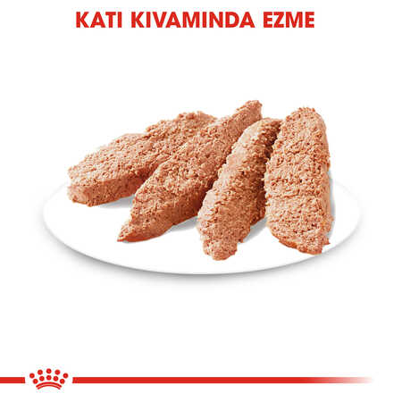 Royal Canin Dermacomfort Hassas Derili Yetişkin Köpek Konservesi 85gr - Thumbnail