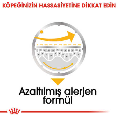 Royal Canin Dermacomfort Hassas Derili Yetişkin Köpek Konservesi 85gr - Thumbnail