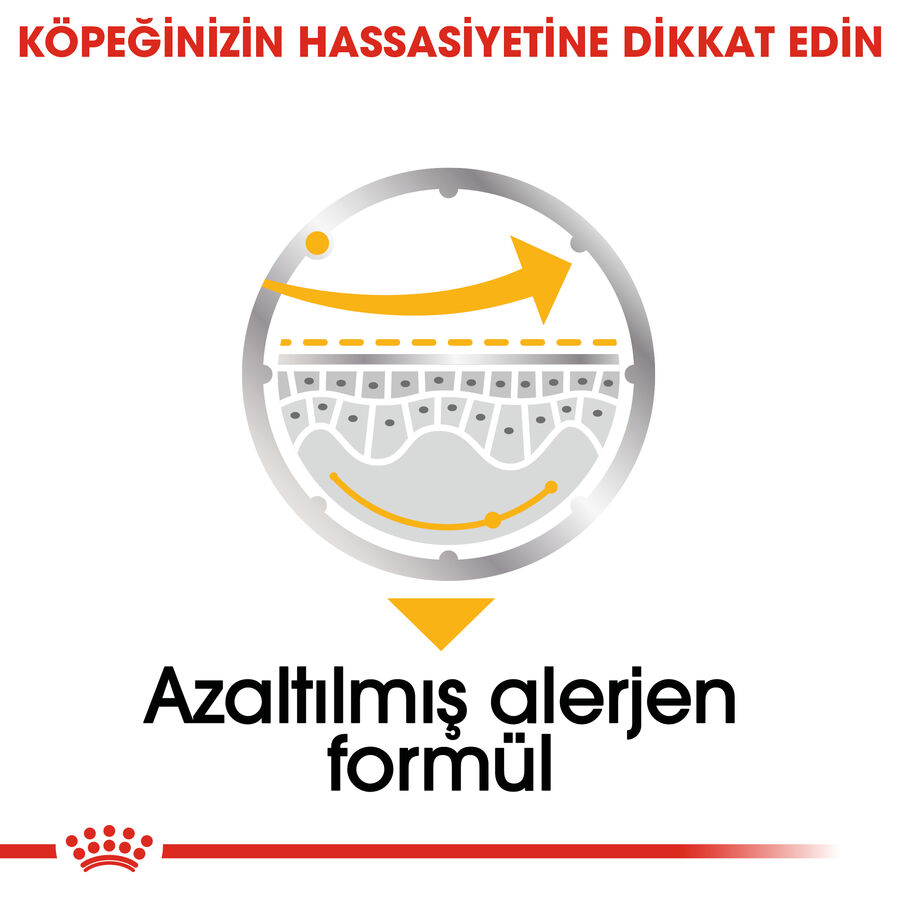 Royal Canin Dermacomfort Hassas Derili Yetişkin Köpek Konservesi 85gr