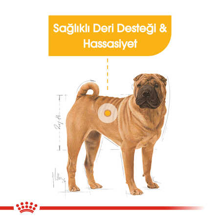 Royal Canin Dermacomfort Medium Hassas Derili Orta Irk Köpek Maması 12kg - Thumbnail