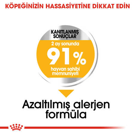 Royal Canin Dermacomfort Medium Hassas Derili Orta Irk Köpek Maması 12kg - Thumbnail