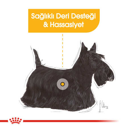 Royal Canin Dermacomfort Mini Hassas Derili Küçük Irk Köpek Maması 3kg - Thumbnail