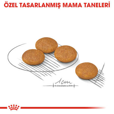 Royal Canin Dermacomfort Mini Hassas Derili Küçük Irk Köpek Maması 3kg - Thumbnail