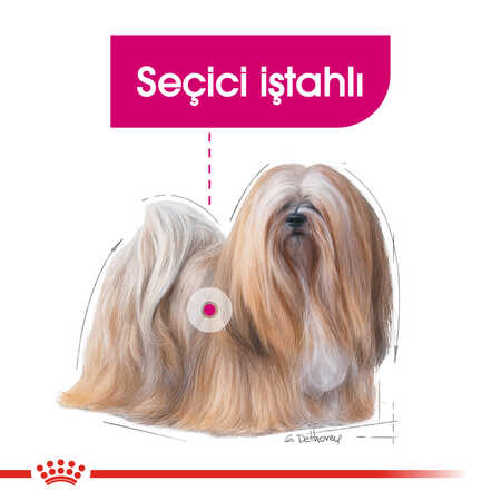 Royal Canin Exigent Mini Seçici Küçük Irk Köpek Maması 3kg - Thumbnail