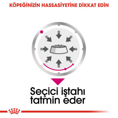 Royal Canin Exigent Seçici Köpek Konservesi 85gr - Thumbnail