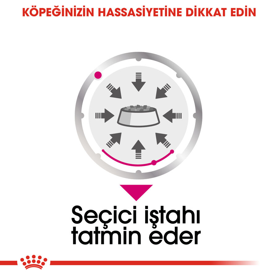 Royal Canin Exigent Seçici Köpek Konservesi 85gr