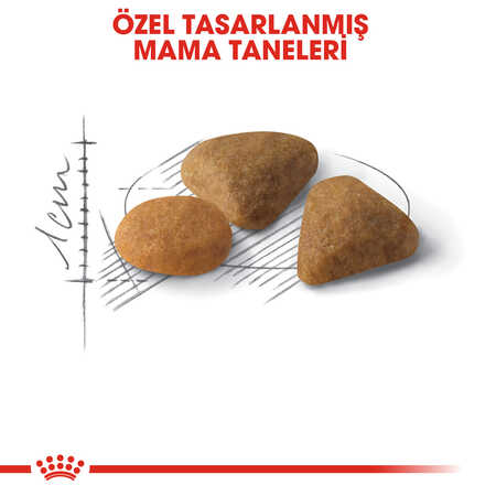 Royal Canin Exigent 35/30 Seçici Yetişkin Kedi Maması 2kg - Thumbnail