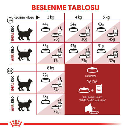 Royal Canin Fit 32 Yetişkin Kedi Maması 10kg - Thumbnail