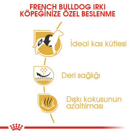 Royal Canin French Bulldog Yetişkin Köpek Maması 3kg - Thumbnail