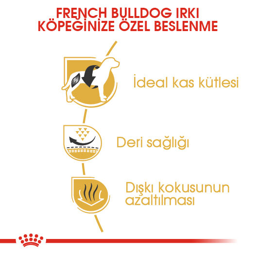 Royal Canin French Bulldog Yetişkin Köpek Maması 3kg