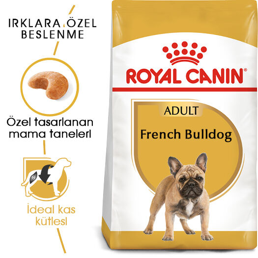 Royal Canin French Bulldog Yetişkin Köpek Maması 3kg