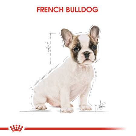 Royal Canin French Bulldog Puppy Yavru Köpek Maması 3kg - Thumbnail