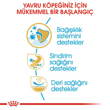 Royal Canin French Bulldog Puppy Yavru Köpek Maması 3kg - Thumbnail