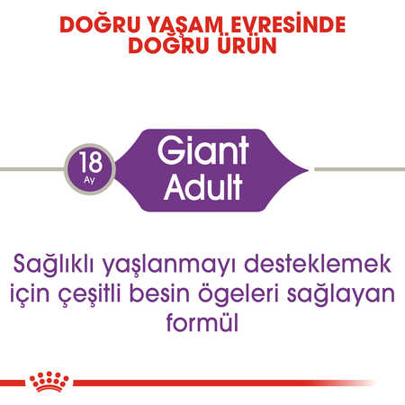 Royal Canin Giant Adult İri Irk Yetişkin Köpek Maması 15kg - Thumbnail