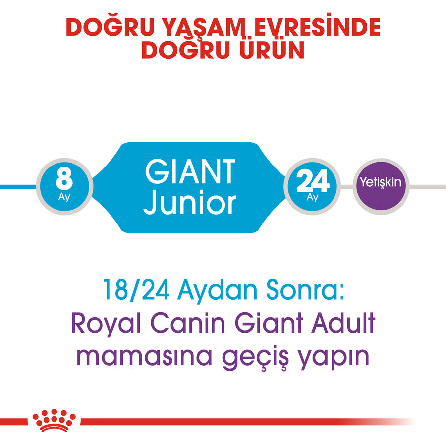 Royal Canin Giant Junior İri Irk Yavru Köpek Maması 15kg