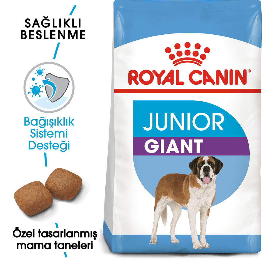 Royal Canin Giant Junior İri Irk Yavru Köpek Maması 15kg