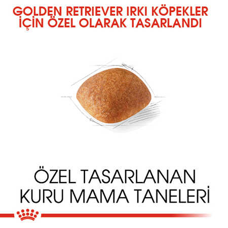 Royal Canin Golden Retriever Yetişkin Köpek Maması 12kg - Thumbnail