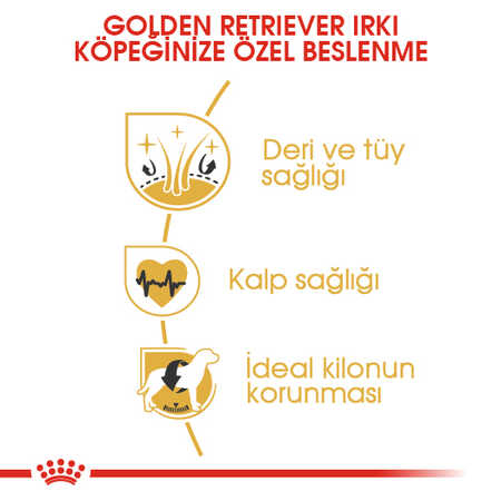 Royal Canin Golden Retriever Yetişkin Köpek Maması 12kg - Thumbnail