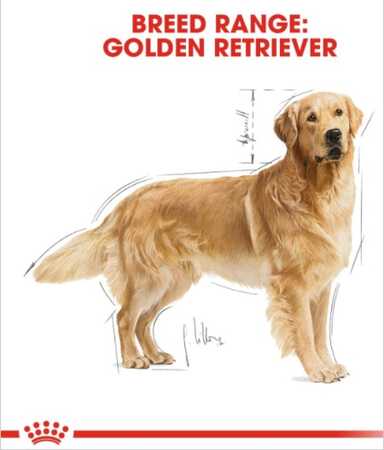 Royal Canin Golden Retriever Yetişkin Köpek Maması 12kg - Thumbnail
