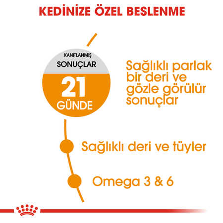 Royal Canin Hair & Skin Deri ve Tüy Sağlığı İçin Yetişkin Kedi Maması 2kg - Thumbnail