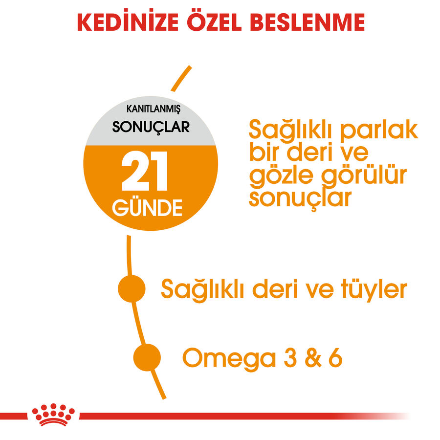 Royal Canin Hair & Skin Deri ve Tüy Sağlığı İçin Yetişkin Kedi Maması 2kg