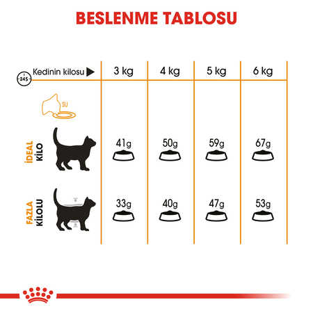 Royal Canin Hair & Skin Deri ve Tüy Sağlığı İçin Yetişkin Kedi Maması 2kg - Thumbnail