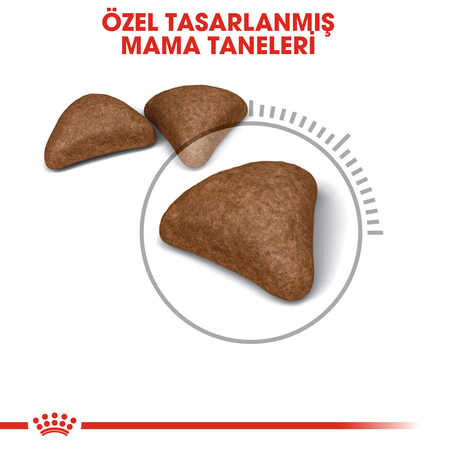 Royal Canin Hairball Care Tüy Yumağı Önleyici Yetişkin Kedi Maması 2kg - Thumbnail