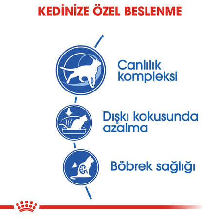 Royal Canin Indoor +7 Ev Kedileri için Yaşlı Kedi Maması 1,5kg - Thumbnail