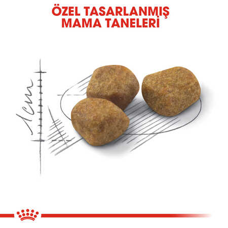 Royal Canin Indoor +7 Ev Kedileri için Yaşlı Kedi Maması 1,5kg - Thumbnail